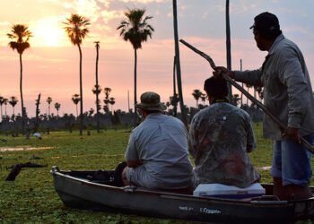 Descubrí la naturaleza del Gran Chaco