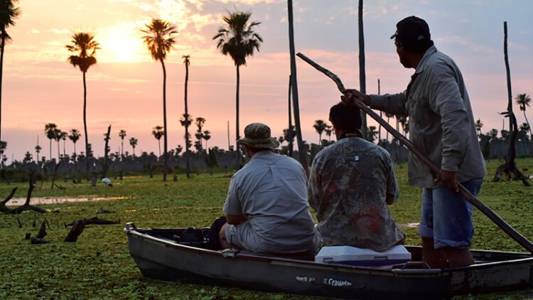 Descubrí la naturaleza del Gran Chaco