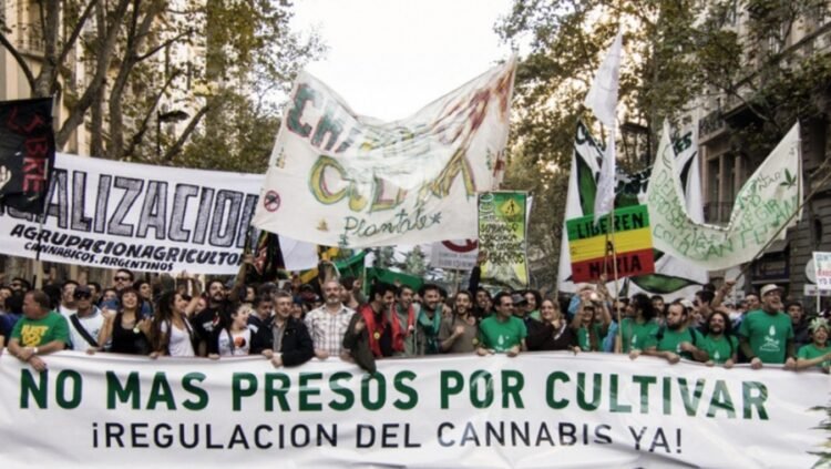 Organizaciones cannábicas realizan la Marcha Nacional de la Marihuana