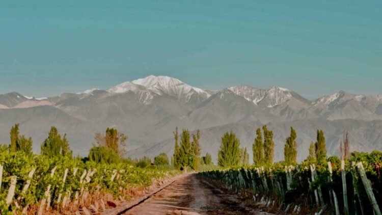 Se viene el primer Encuentro Regional del Turismo del Vino