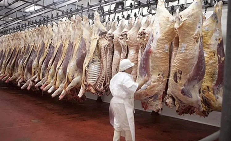 Siguen los efectos de las restricciones oficiales: en los primeros 5 meses del año, las exportaciones de carne cayeron más de un 7%