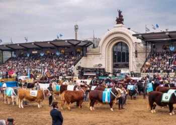 Casi 1,3 millón de personas visitaron la exposición Rural de Palermo