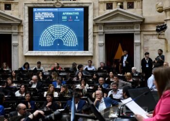 Diputados aprobó crear un Registro de Deudores Alimentarios y el alivio en Ganancias para los ingresos de médicos cuando superen cuatro guardias mensuales