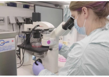 Estudian respuestas de anti-cuerpos de las vacunas contra en covid en 3 continentes