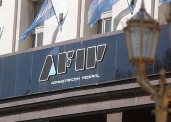 La AFIP vigila tus consumos y patrimonio: el organismo publicó todo lo que sabe sobre cada contribuyente