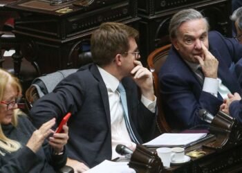 Internas en el PRO tras el posible veto de Milei al financiamiento universitario