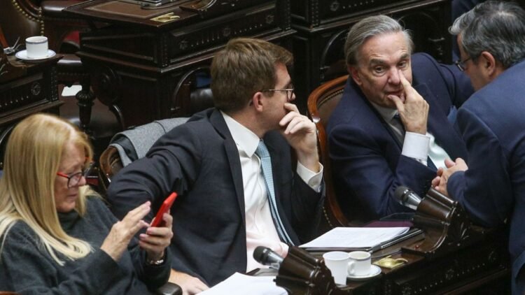 Internas en el PRO tras el posible veto de Milei al financiamiento universitario