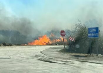 Registran incendio forestal en Valle de Calamuchita en Córdoba