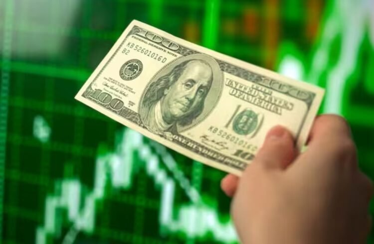 Dólar: el Gobierno flexibilizó restricciones para operar con los dólares financieros