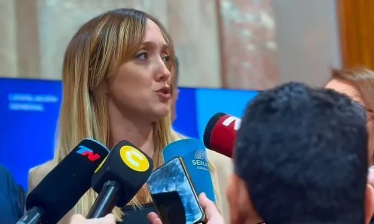 Internas del PJ: Fernández Sagasti “La conducción del peronismo es una, está viva y es CFK”