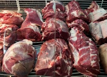Es una catástrofe lo que está pasando con el consumo de la Carne en la Argentina