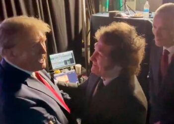 El presidente Javier Milei felicitó a Trump por el triunfo en las elecciones en EE.UU: “Podés contar con la Argentina”