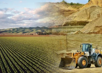 Cuántos empleos generan los cuatro sectores clave de la economía argentina