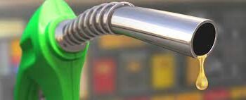 El Gobierno aumentó Los biocombustibles subirán un 3,9%