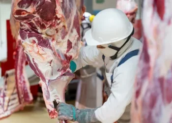 Las exportaciones de carne rompieron un récord de 57 años