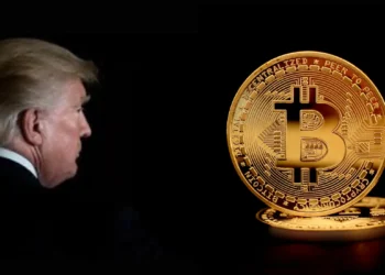 Los inversores siguen apostando a la criptomoneda por excelencia