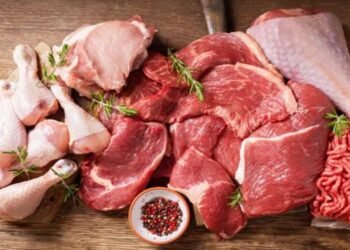 El valor de la carne vacuna se encuentra un 15% menos que hace un año atrás (octubre 2023)