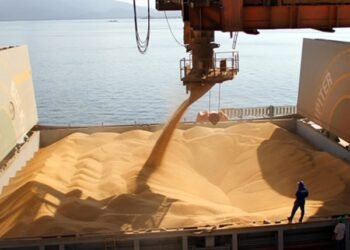 Agrodólares: estiman que el 80% de la soja que se produce en la Argentina se exporta