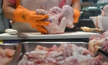 El pollo gana terreno en Argentina y su consumo sigue en alza
