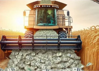 La cosecha de trigo 2024/25 en Argentina dejó un balance positivo