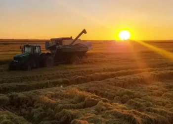 Baja de retenciones: el Gobierno recibe a las cerealeras mientras define la letra fina
