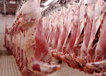 La baja en el ingreso de hacienda dispara los precios de la carne más de 7%