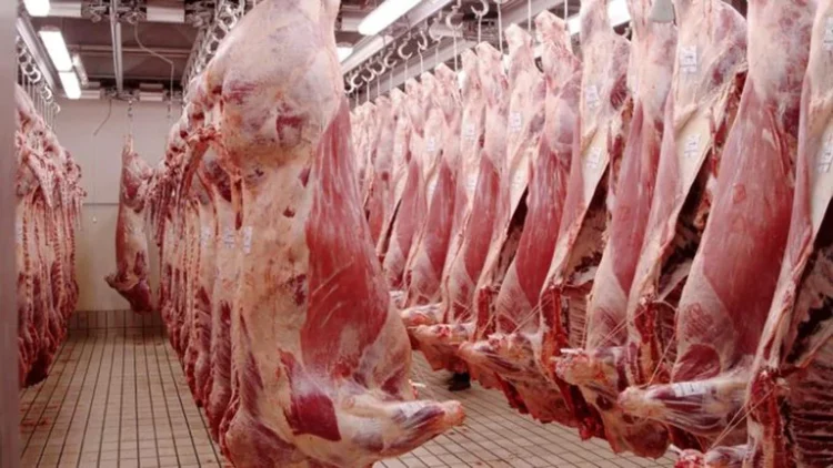 La baja en el ingreso de hacienda dispara los precios de la carne más de 7%