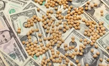 ARCA detalló los requisitos que deberán cumplir los agroexportadores para liquidar las divisas