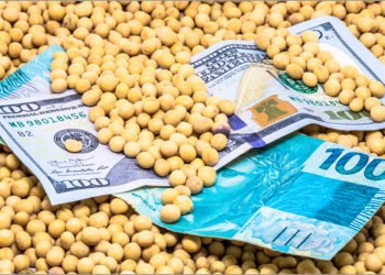 Javier Milei confirmó cuántos millones de dólares ingresarán gracias al campo