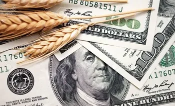 Cautela en el campo: ¿por qué los productores no aumentan sus ventas a pesar de mejores precios?