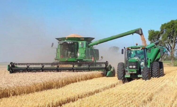 Bajan retenciones y presión impositiva agrícola toca piso en 5 años