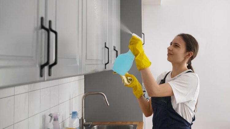 Junio 2025: Salario empleadas domésticas