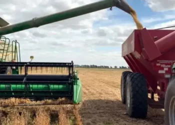 Retenciones al campo: u$s15.000 millones pendientes.