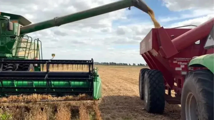 Retenciones al campo: u$s15.000 millones pendientes.