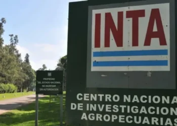 Cambio estructural en INTA: Gobierno nombra nuevas autoridades.