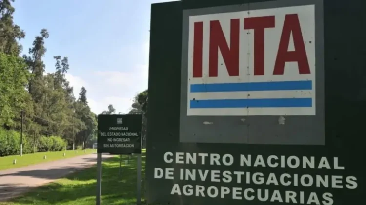 Cambio estructural en INTA: Gobierno nombra nuevas autoridades.