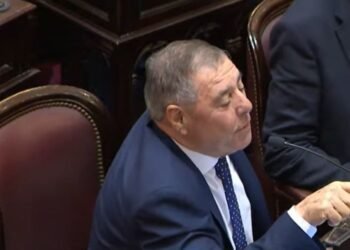 El campo en crisis: De Ángeli apoya a Milei con advertencia.