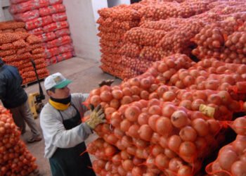 Productores a pérdida: el campo argentino sufre la dolarización y las importaciones.