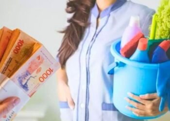 Gobierno Milei: Salarios domésticas caen 25%.