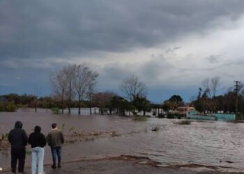 Declaran emergencia en el sector agropecuario.