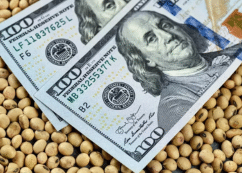 Emergencia agraria: proponen fondo de $130.000 millones.