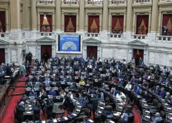 El futuro del Garrahan y universidades, en manos de Diputados.