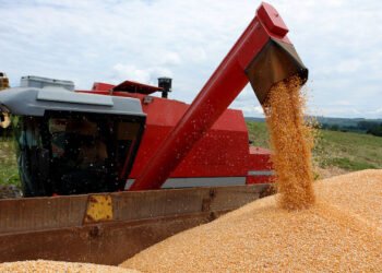 EEUU vs. retenciones cero: China aprovecha