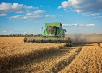 Fin a retenciones: Campo exportó U$S 7 mil millones.