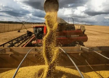 Expectativa por encuentro Campo-Agricultura.