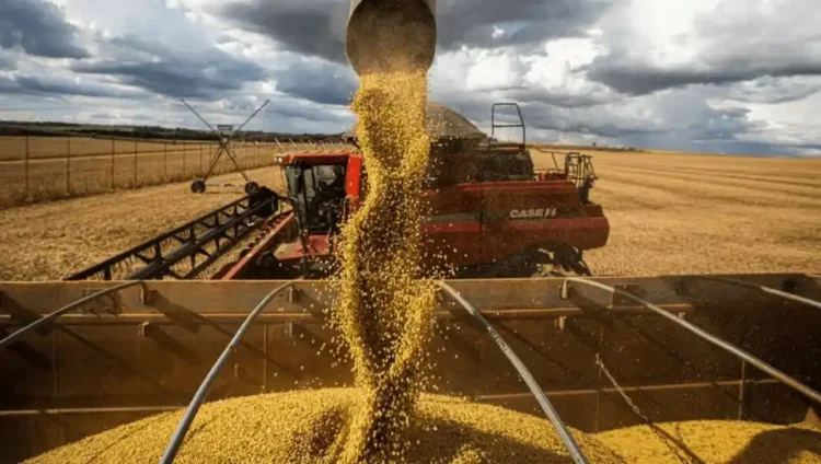 Expectativa por encuentro Campo-Agricultura.