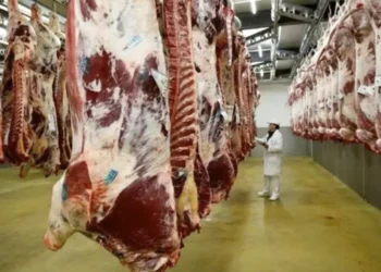 Carne: Escasez mundial, ¿la hora de Argentina?