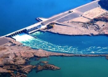 Alicurá y El Chocón, a privatización