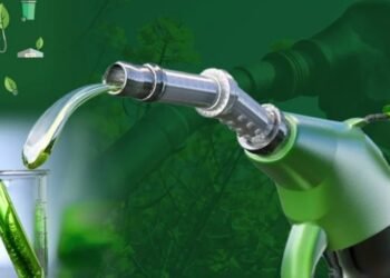 Sector bioenergético: pérdidas por ley de biocombustibles.