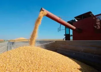 El Gobierno desregula el campo.